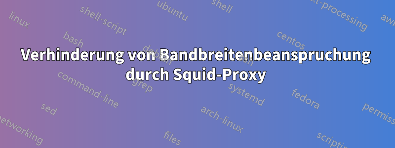 Verhinderung von Bandbreitenbeanspruchung durch Squid-Proxy