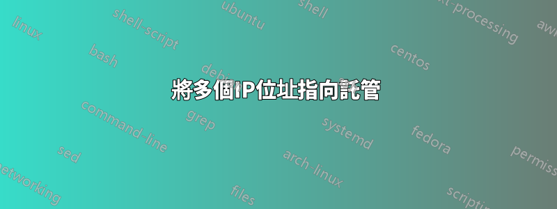 將多個IP位址指向託管