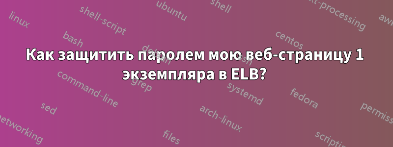 Как защитить паролем мою веб-страницу 1 экземпляра в ELB?