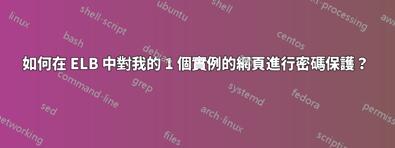 如何在 ELB 中對我的 1 個實例的網頁進行密碼保護？