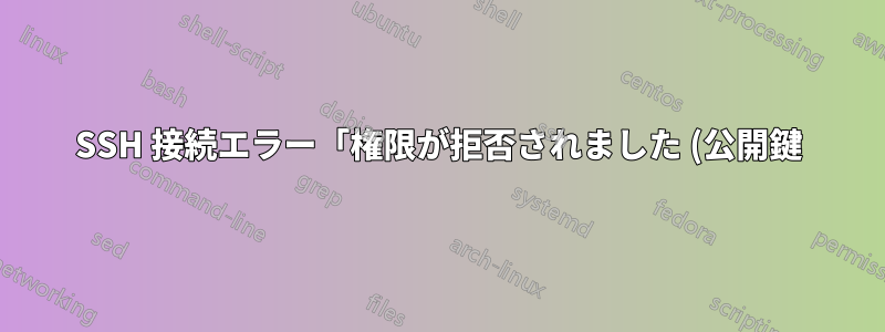 SSH 接続エラー「権限が拒否されました (公開鍵)」