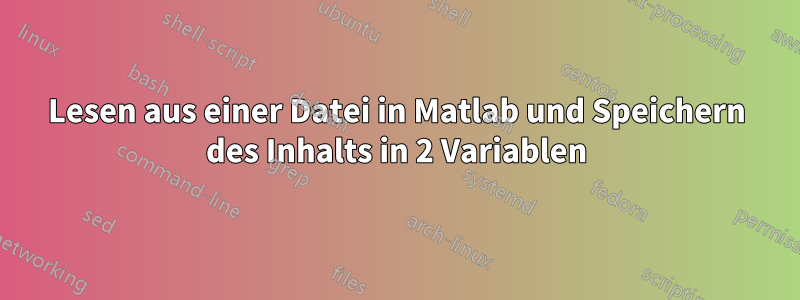 Lesen aus einer Datei in Matlab und Speichern des Inhalts in 2 Variablen