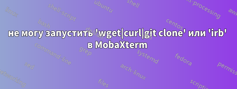 не могу запустить 'wget|curl|git clone' или 'irb' в MobaXterm
