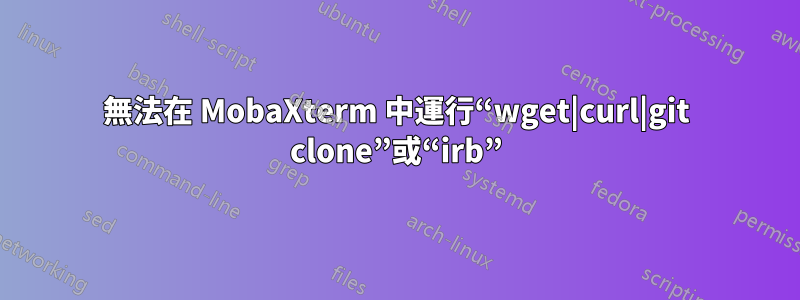 無法在 MobaXterm 中運行“wget|curl|git clone”或“irb”