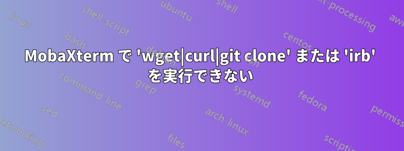MobaXterm で 'wget|curl|git clone' または 'irb' を実行できない