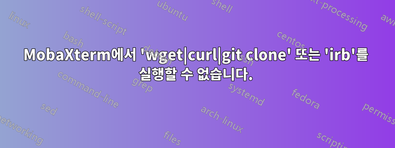 MobaXterm에서 'wget|curl|git clone' 또는 'irb'를 실행할 수 없습니다.