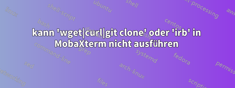 kann 'wget|curl|git clone' oder 'irb' in MobaXterm nicht ausführen