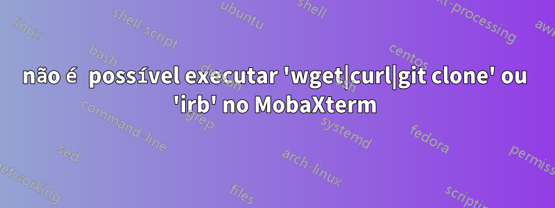 não é possível executar 'wget|curl|git clone' ou 'irb' no MobaXterm