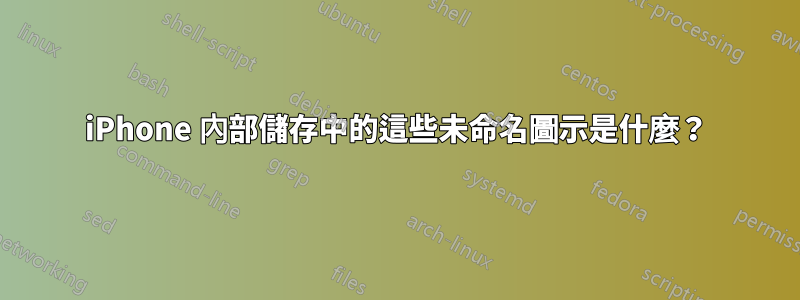 iPhone 內部儲存中的這些未命名圖示是什麼?