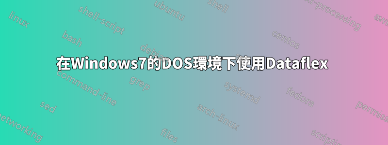 在Windows7的DOS環境下使用Dataflex