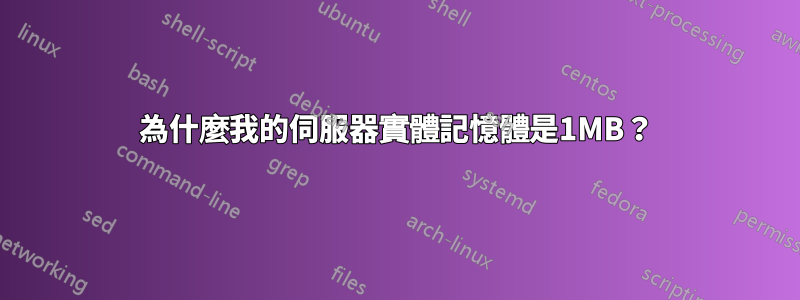 為什麼我的伺服器實體記憶體是1MB？
