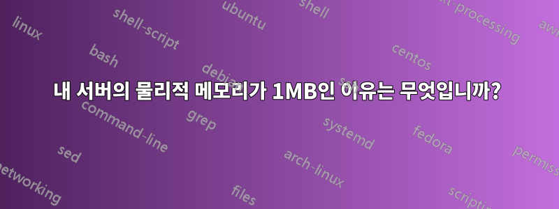 내 서버의 물리적 메모리가 1MB인 이유는 무엇입니까?