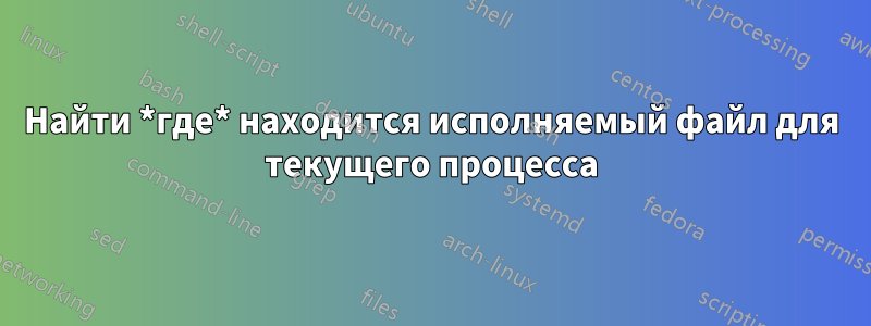 Найти *где* находится исполняемый файл для текущего процесса