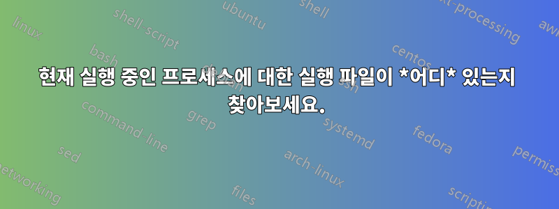 현재 실행 중인 프로세스에 대한 실행 파일이 *어디* 있는지 찾아보세요.
