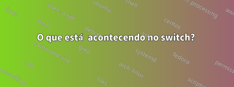 O que está acontecendo no switch?