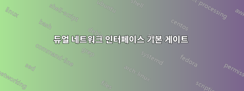 듀얼 네트워크 인터페이스 기본 게이트