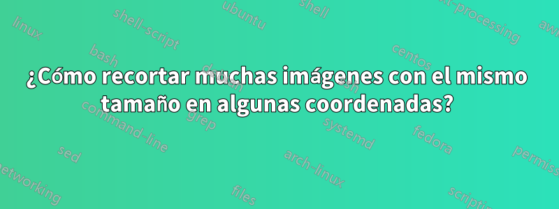 ¿Cómo recortar muchas imágenes con el mismo tamaño en algunas coordenadas?