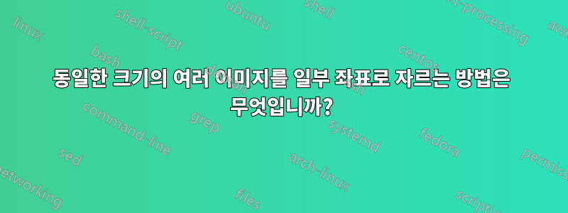 동일한 크기의 여러 이미지를 일부 좌표로 자르는 방법은 무엇입니까?