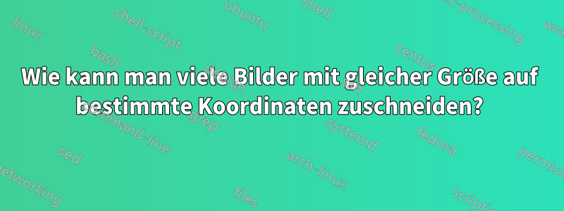 Wie kann man viele Bilder mit gleicher Größe auf bestimmte Koordinaten zuschneiden?