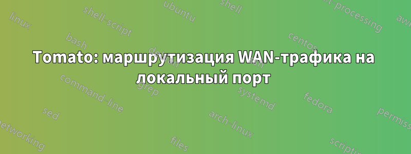 Tomato: маршрутизация WAN-трафика на локальный порт