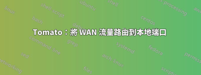 Tomato：將 WAN 流量路由到本地端口