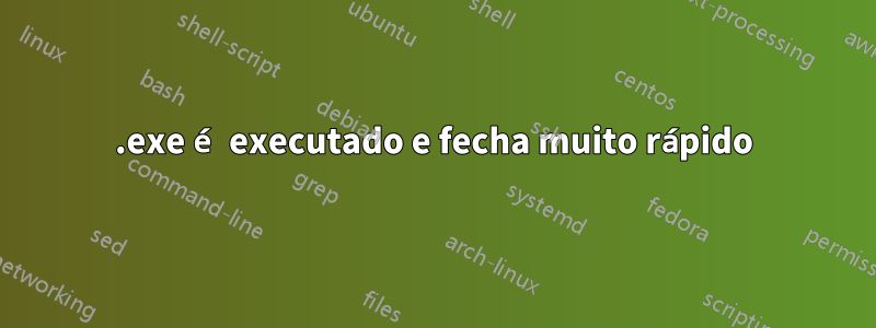 .exe é executado e fecha muito rápido