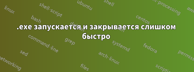 .exe запускается и закрывается слишком быстро