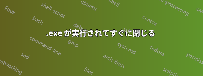 .exe が実行されてすぐに閉じる