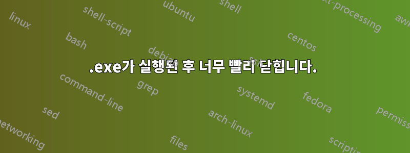 .exe가 실행된 후 너무 빨리 닫힙니다.