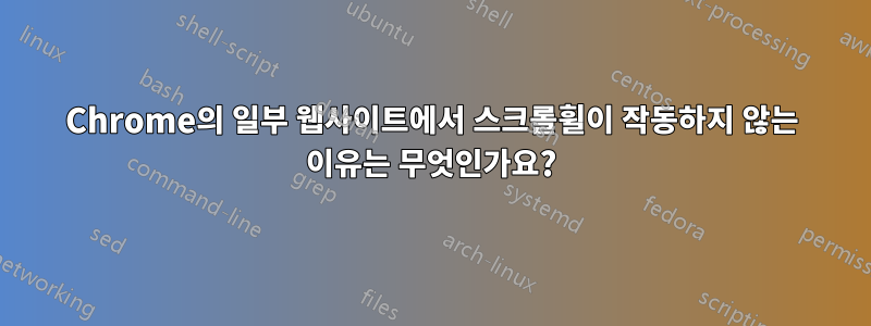 Chrome의 일부 웹사이트에서 스크롤휠이 작동하지 않는 이유는 무엇인가요?