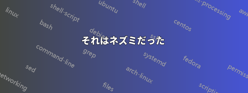 それはネズミだった