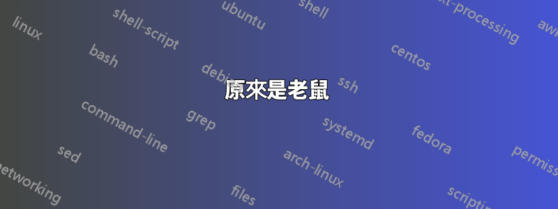 原來是老鼠