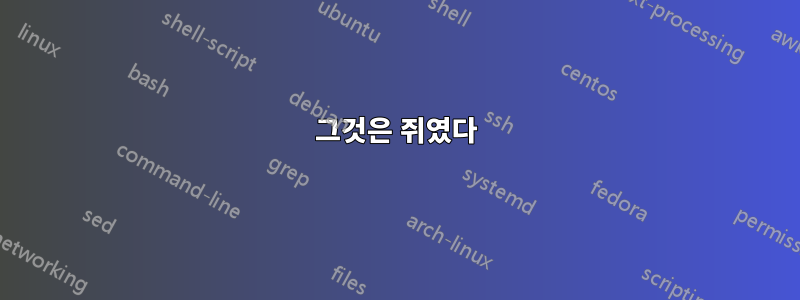 그것은 쥐였다