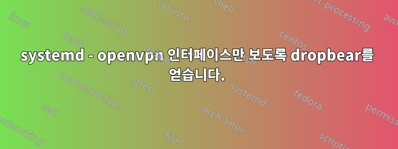 systemd - openvpn 인터페이스만 보도록 dropbear를 얻습니다.