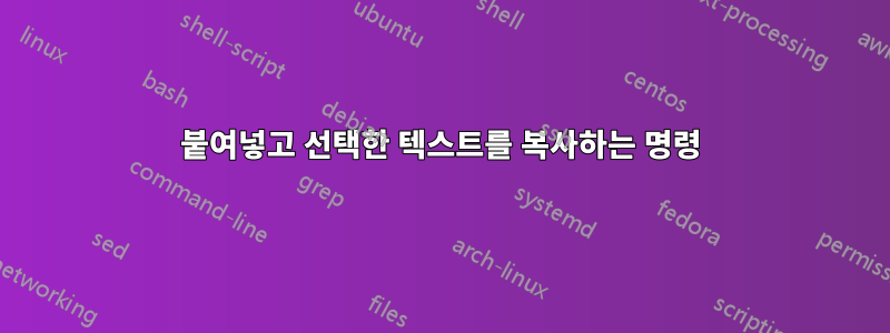 붙여넣고 선택한 텍스트를 복사하는 명령