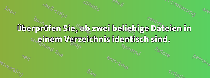 Überprüfen Sie, ob zwei beliebige Dateien in einem Verzeichnis identisch sind.