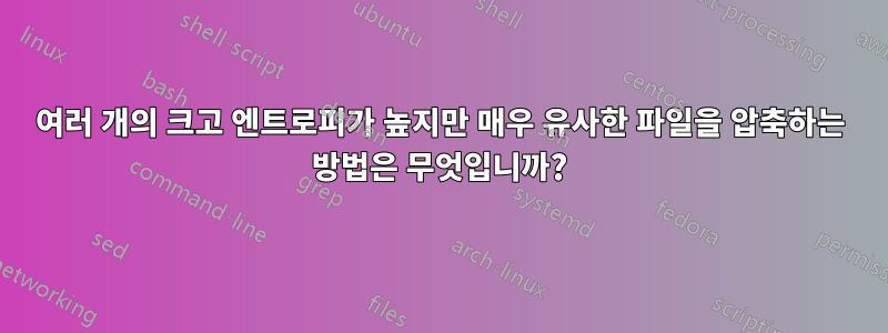 여러 개의 크고 엔트로피가 높지만 매우 유사한 파일을 압축하는 방법은 무엇입니까?