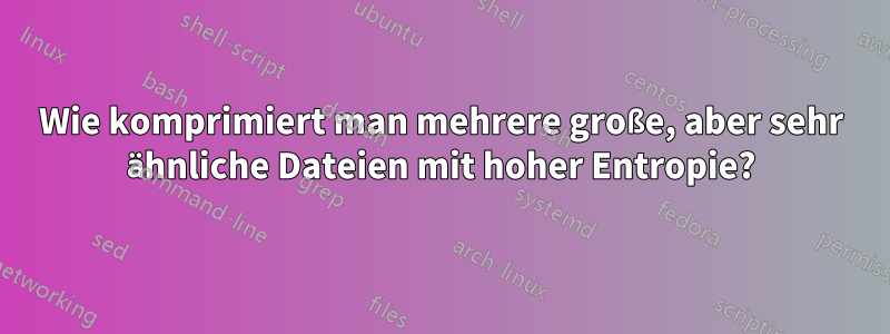 Wie komprimiert man mehrere große, aber sehr ähnliche Dateien mit hoher Entropie?