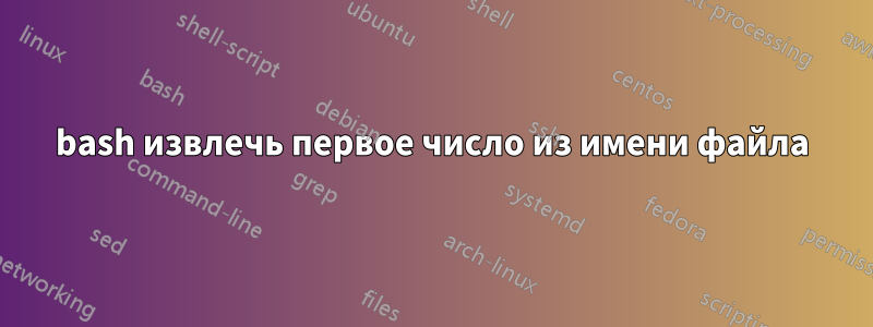 bash извлечь первое число из имени файла