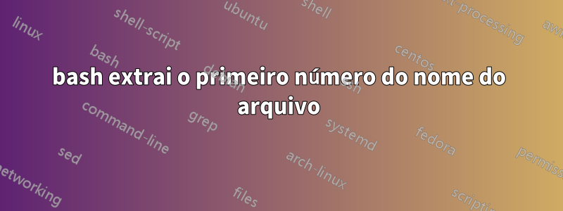 bash extrai o primeiro número do nome do arquivo