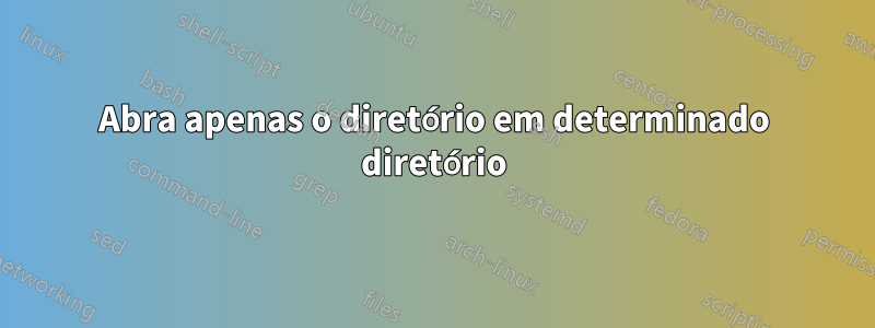 Abra apenas o diretório em determinado diretório