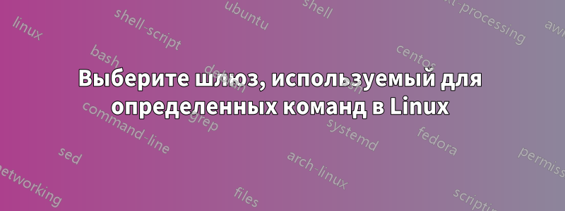 Выберите шлюз, используемый для определенных команд в Linux