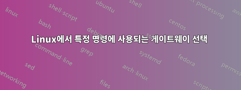 Linux에서 특정 명령에 사용되는 게이트웨이 선택