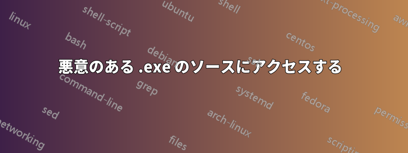 悪意のある .exe のソースにアクセスする 