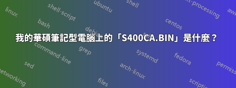 我的華碩筆記型電腦上的「S400CA.BIN」是什麼？