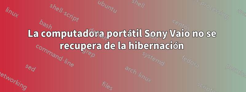 La computadora portátil Sony Vaio no se recupera de la hibernación