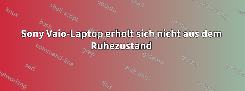 Sony Vaio-Laptop erholt sich nicht aus dem Ruhezustand