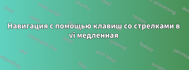 Навигация с помощью клавиш со стрелками в vi медленная