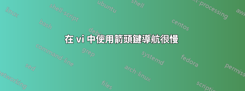 在 vi 中使用箭頭鍵導航很慢