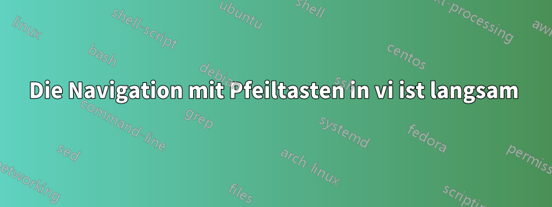 Die Navigation mit Pfeiltasten in vi ist langsam